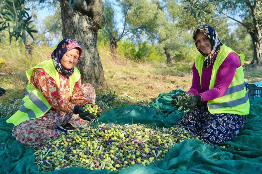 BURHANİYE